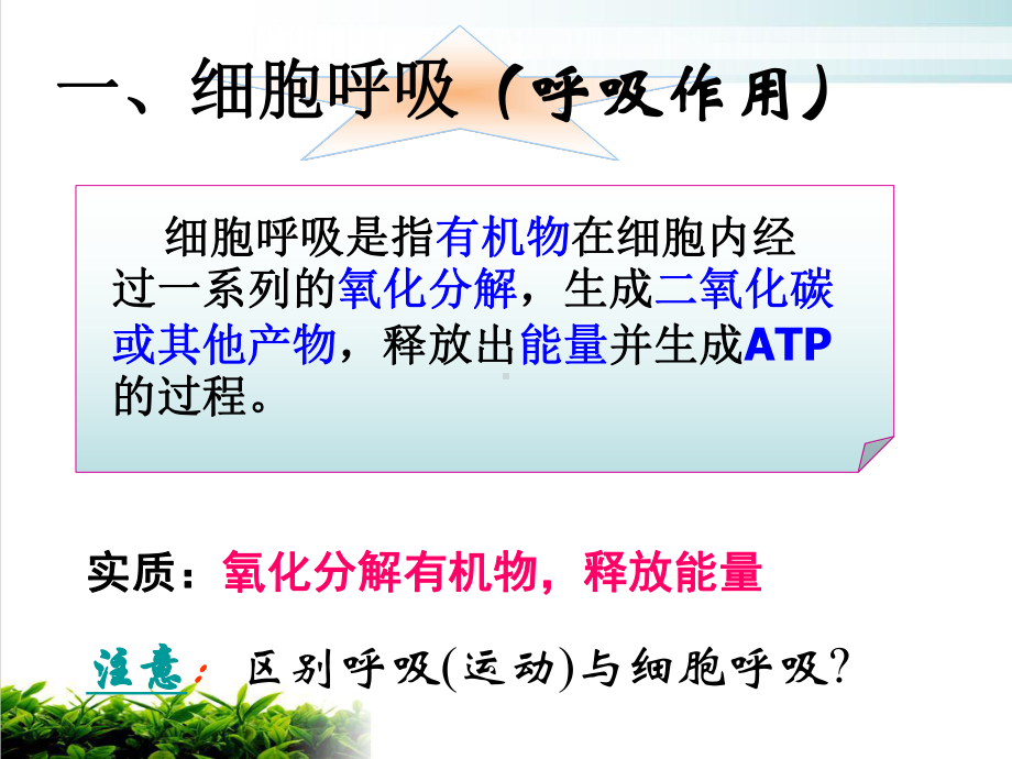 细胞呼吸的原理和应用完整版课件.ppt_第3页