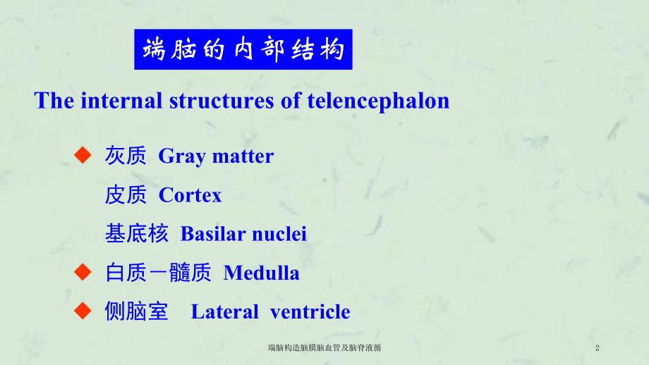 端脑构造脑膜脑血管及脑脊液循课件.ppt_第2页