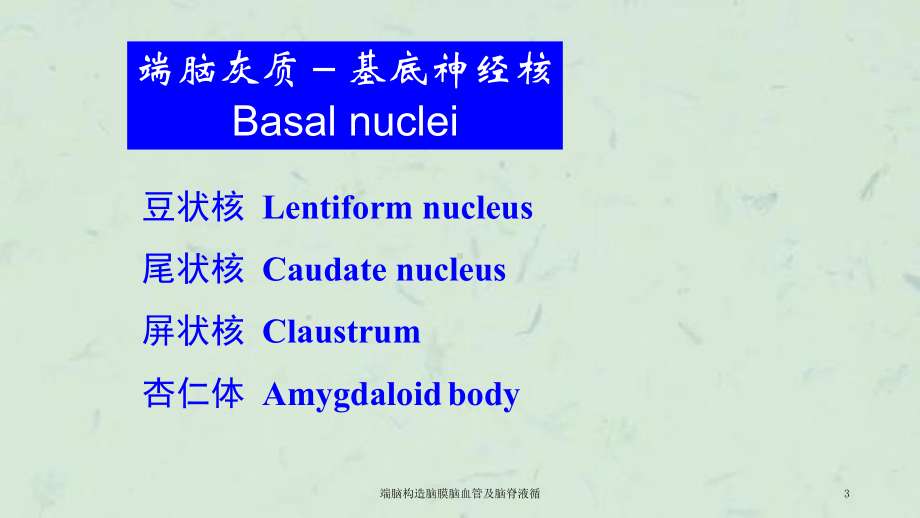 端脑构造脑膜脑血管及脑脊液循课件.ppt_第3页