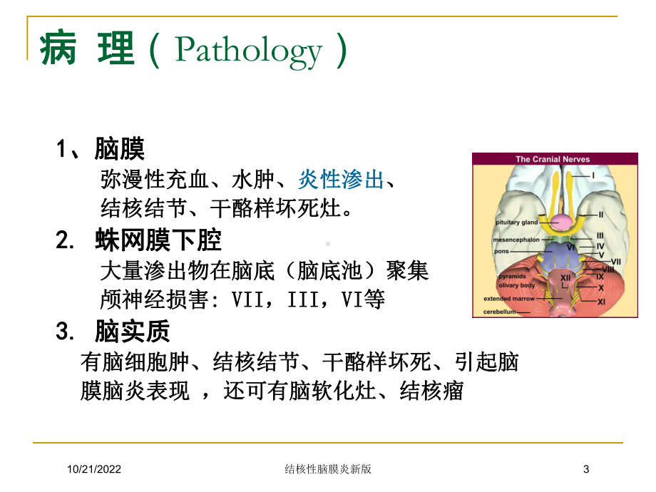 结核性脑膜炎新版培训课件.ppt_第3页