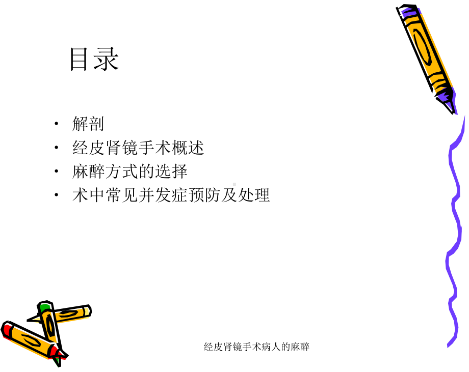 经皮肾镜手术病人的麻醉课件.ppt_第2页