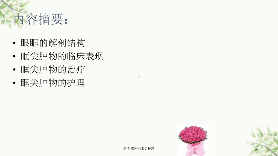 眶尖部肿物术后护理课件.ppt_第2页