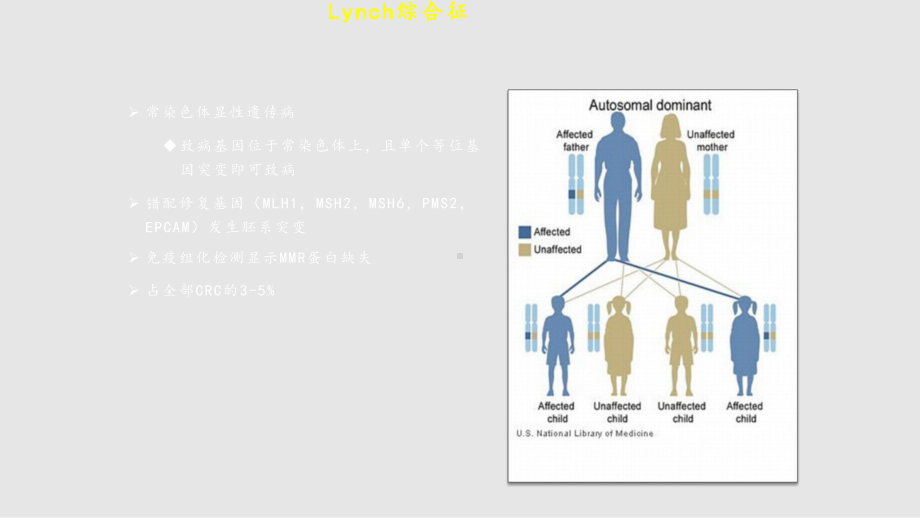 Lynch综合征的免疫组化筛查课件.pptx_第2页