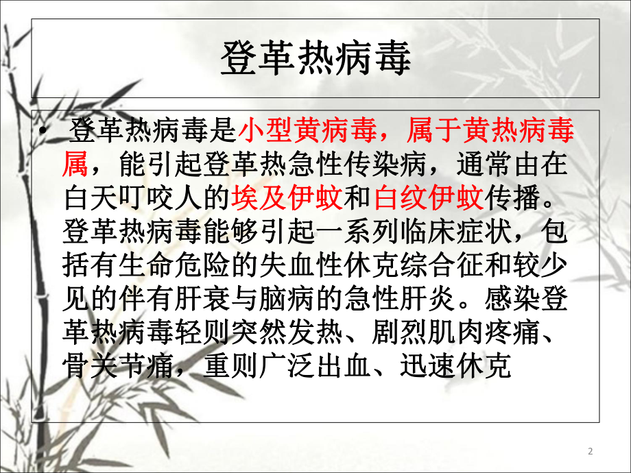 登革热病毒优质课件.ppt_第2页