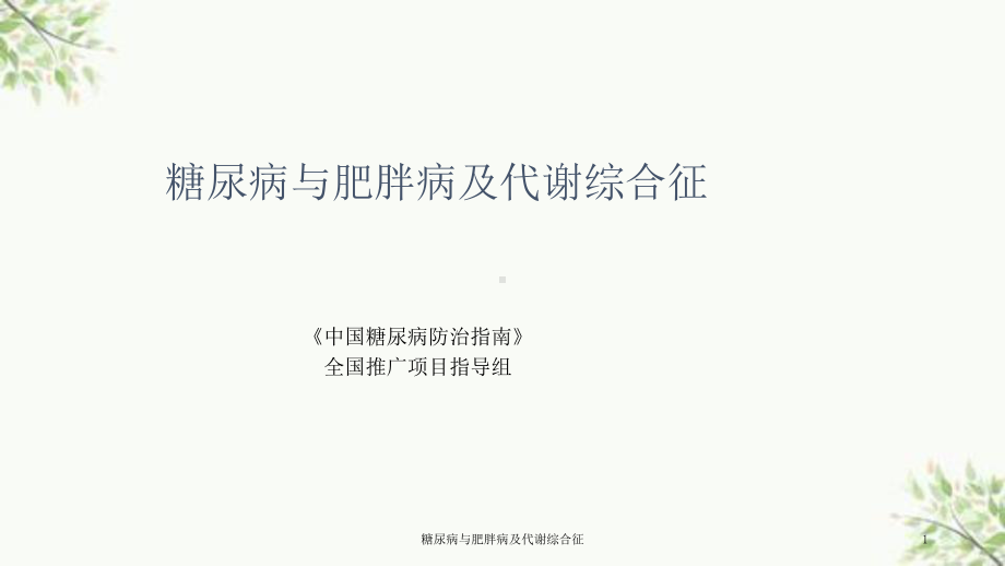 糖尿病与肥胖病及代谢综合征课件.ppt_第1页