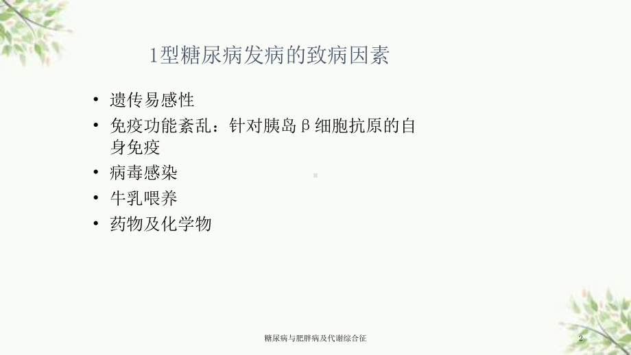 糖尿病与肥胖病及代谢综合征课件.ppt_第2页