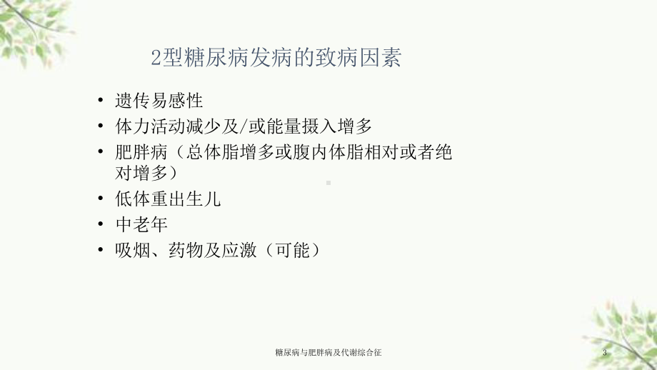 糖尿病与肥胖病及代谢综合征课件.ppt_第3页