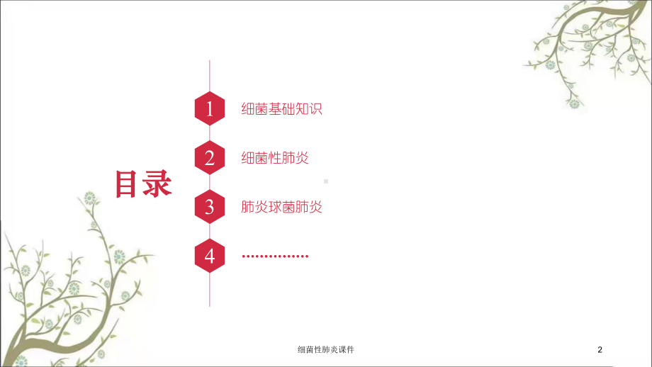 细菌性肺炎课件.ppt_第2页