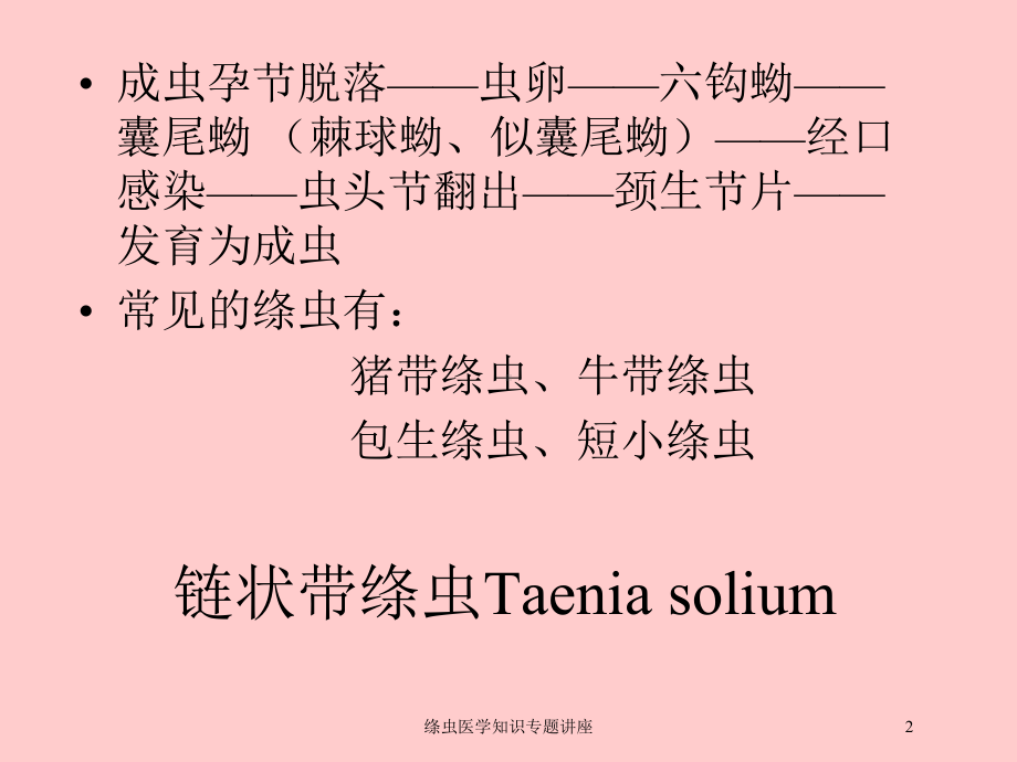 绦虫医学知识专题讲座培训课件.ppt_第2页