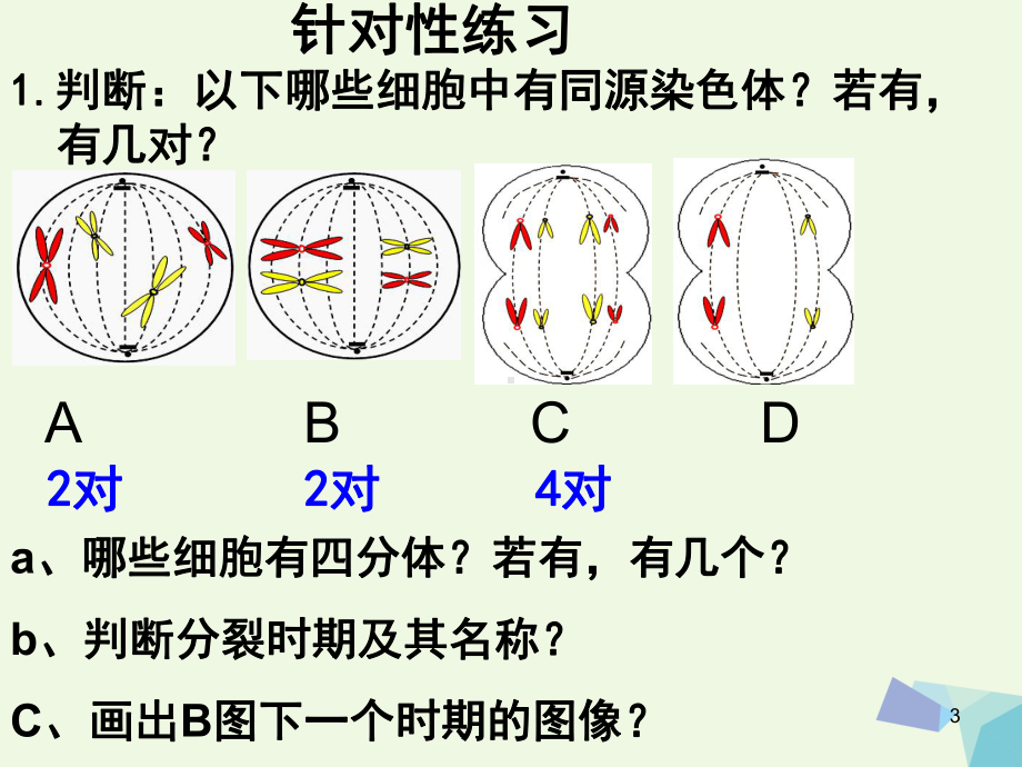 (水滴系列)高中生物-第2章-基因和染色体的关系-第1节-减数分裂(第2课时)-新人教必修课件2.ppt_第3页