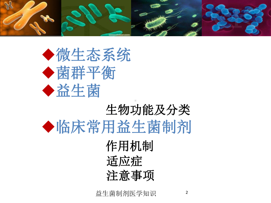 益生菌制剂医学知识培训课件.ppt_第2页