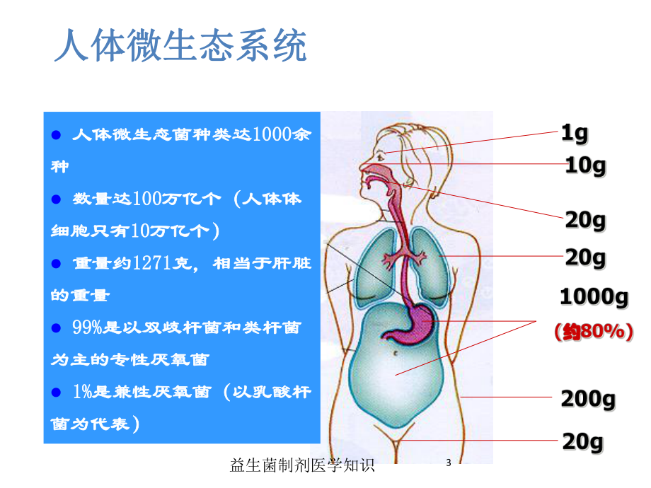 益生菌制剂医学知识培训课件.ppt_第3页