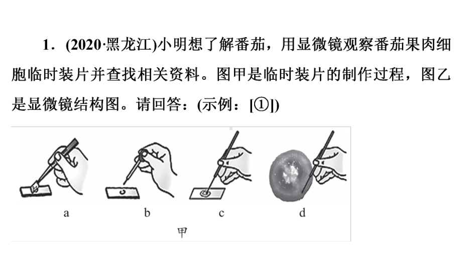 2021届中考生物冲刺复习中考非选择题(实验探究题)课件.pptx_第2页