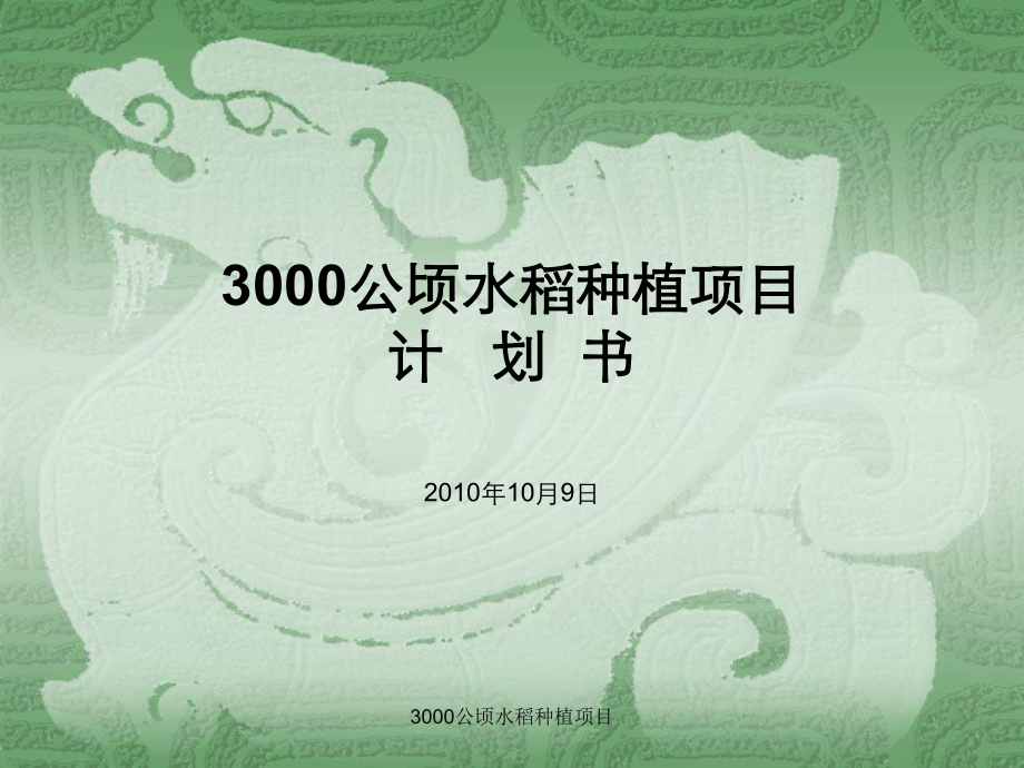 3000公顷水稻种植项目课件.ppt_第1页