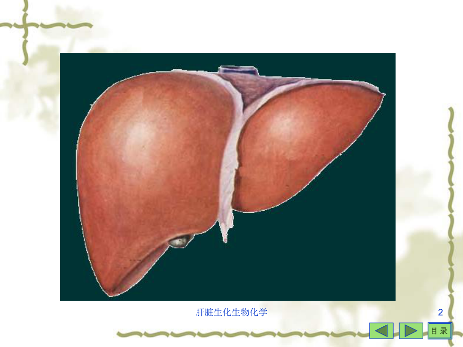 肝脏生化生物化学培训课件.ppt_第2页