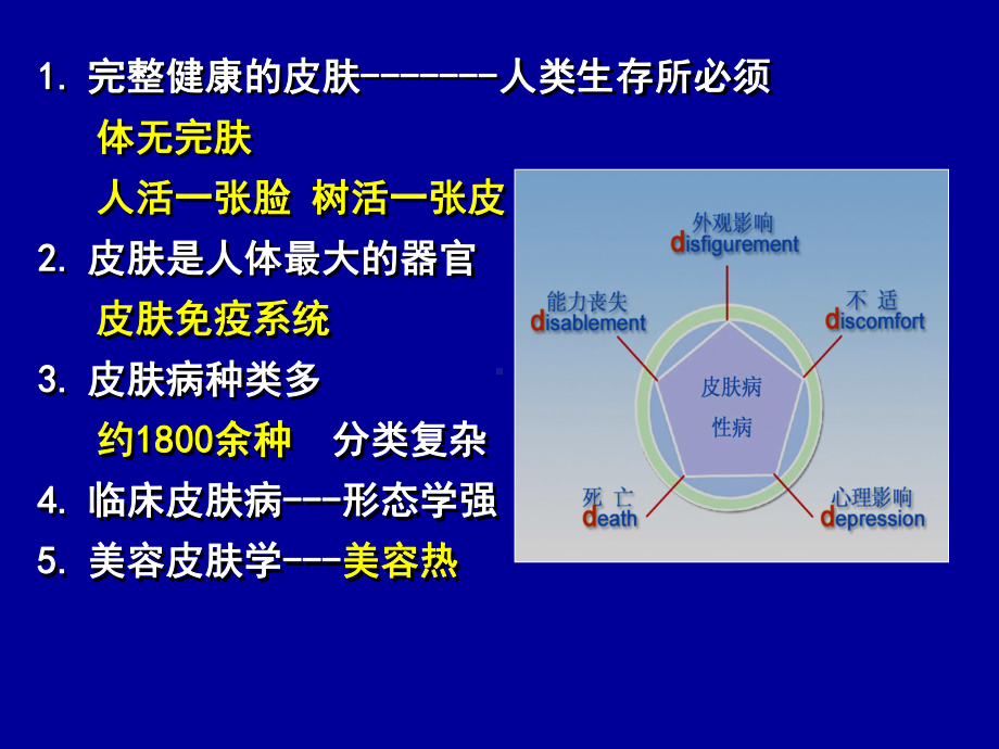 皮肤病的临床表现及诊断课件.ppt_第3页