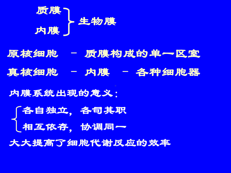 5章细胞的内膜系统一课件.ppt_第3页