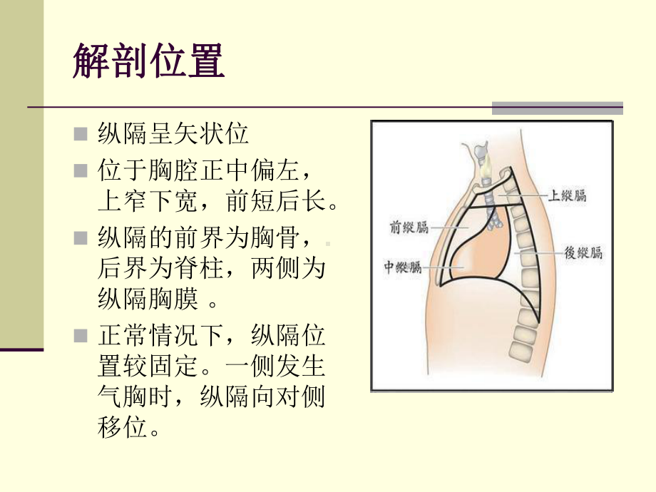 纤维素性纵隔炎课件.ppt_第3页