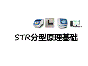 STR分型原理基础医学课件.pptx