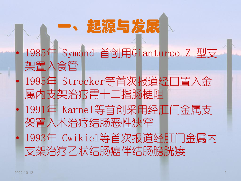 结肠狭窄支架置入术参考课件.ppt_第2页