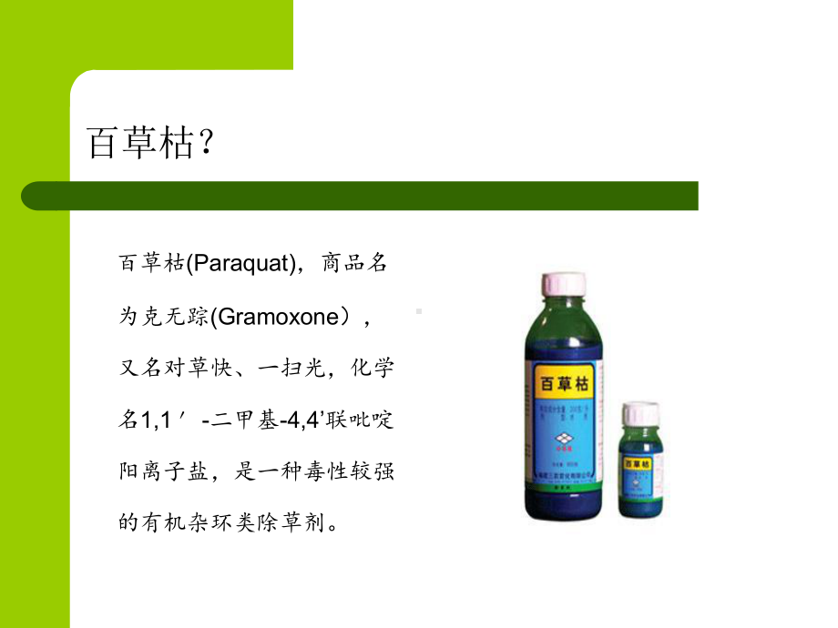 百草枯中毒的护理课件.ppt_第2页