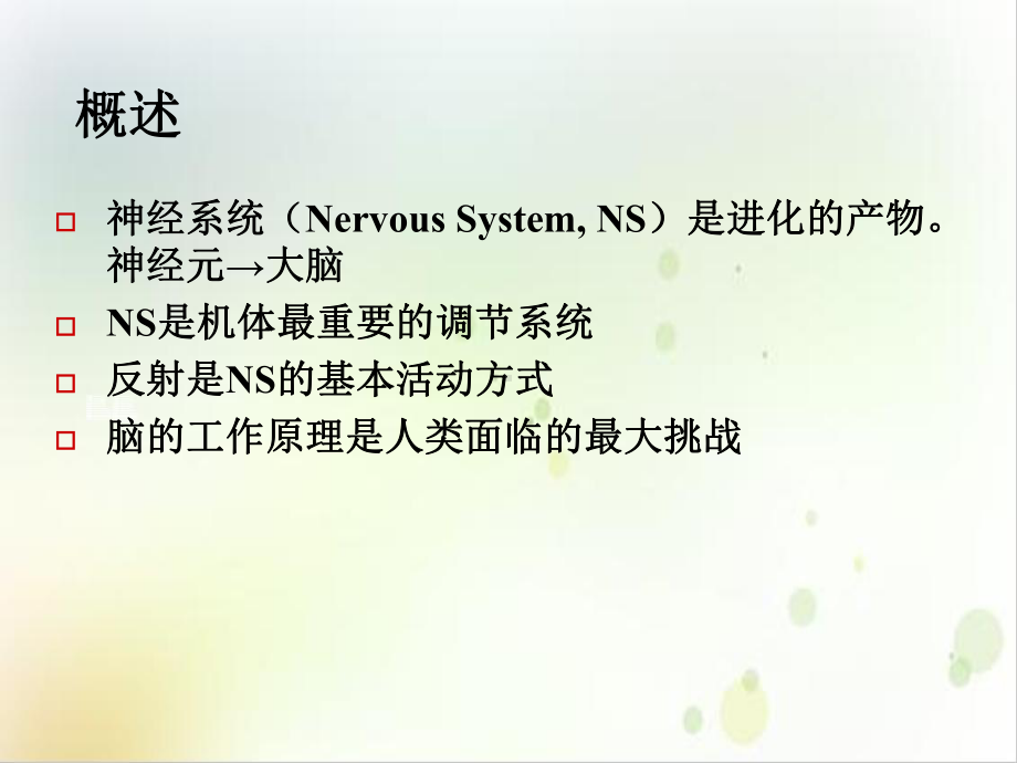 神经系统功能活动的基本原理示范课件.ppt_第3页