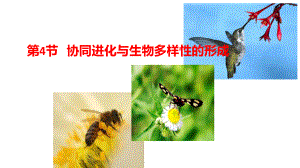 (新教材)协同进化与生物多样性的形成课件人教版1.pptx