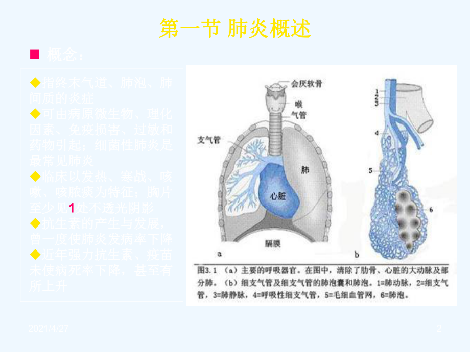 第八版肺部感染性疾病课件.ppt_第2页