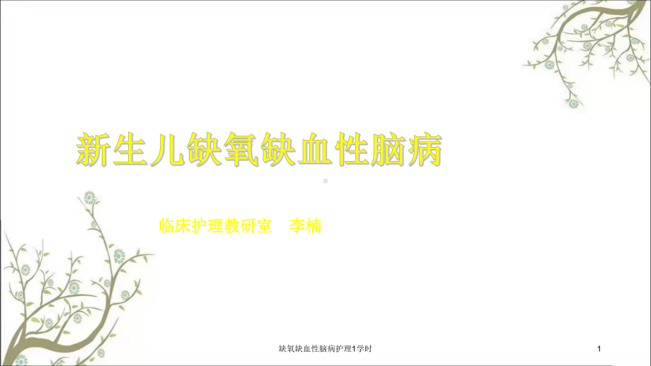 缺氧缺血性脑病护理1学时课件.ppt_第1页