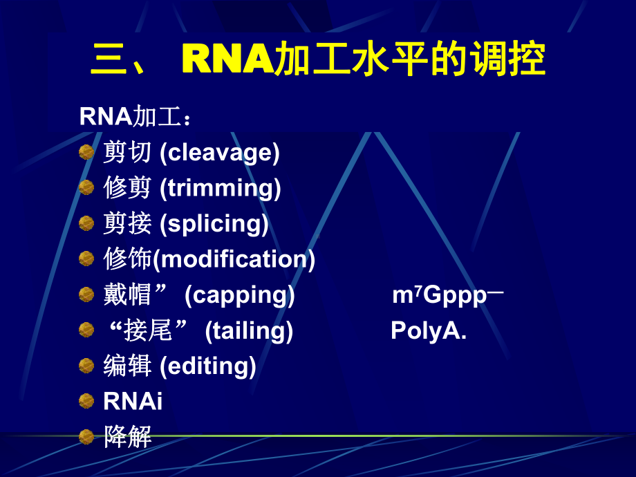 3RNA加工水平的调控课件.ppt_第1页