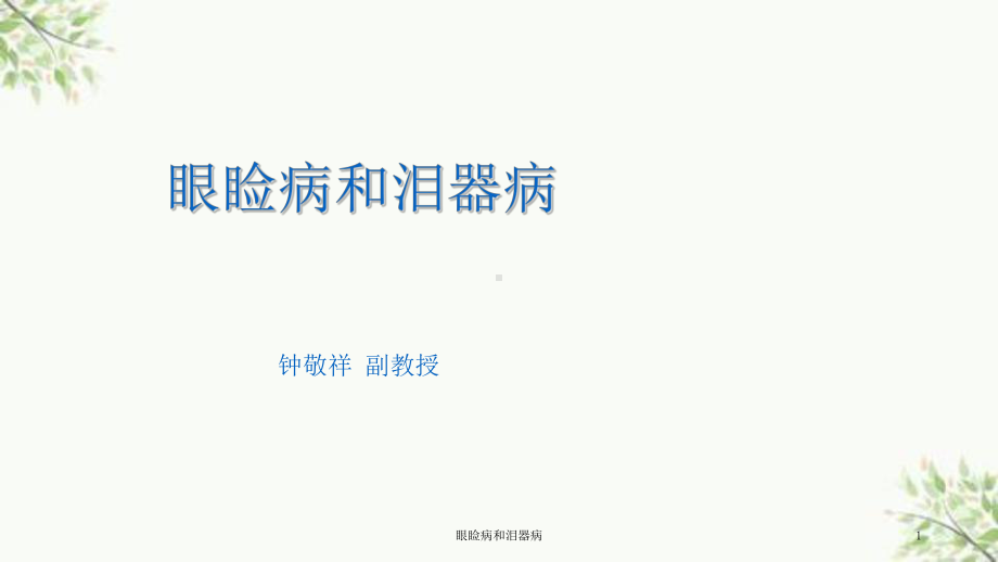 眼睑病和泪器病课件.ppt_第1页