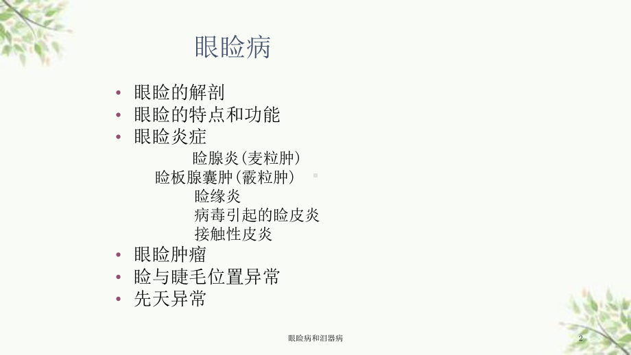 眼睑病和泪器病课件.ppt_第2页