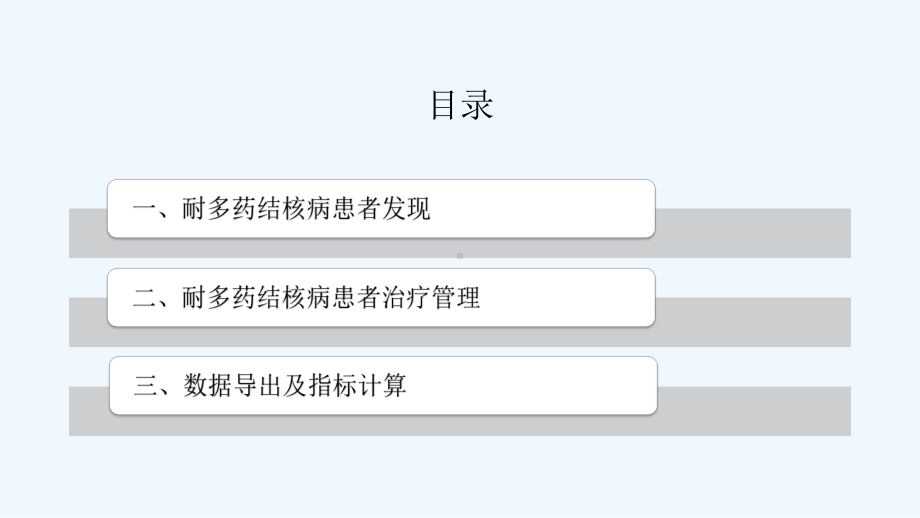 耐多药结核病防治工作流程课件.pptx_第2页