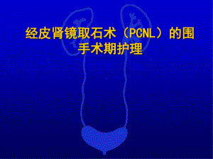 经皮肾镜碎石取石术围手术期护理课件.ppt