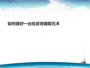 经皮肾镜取石术-课件.ppt