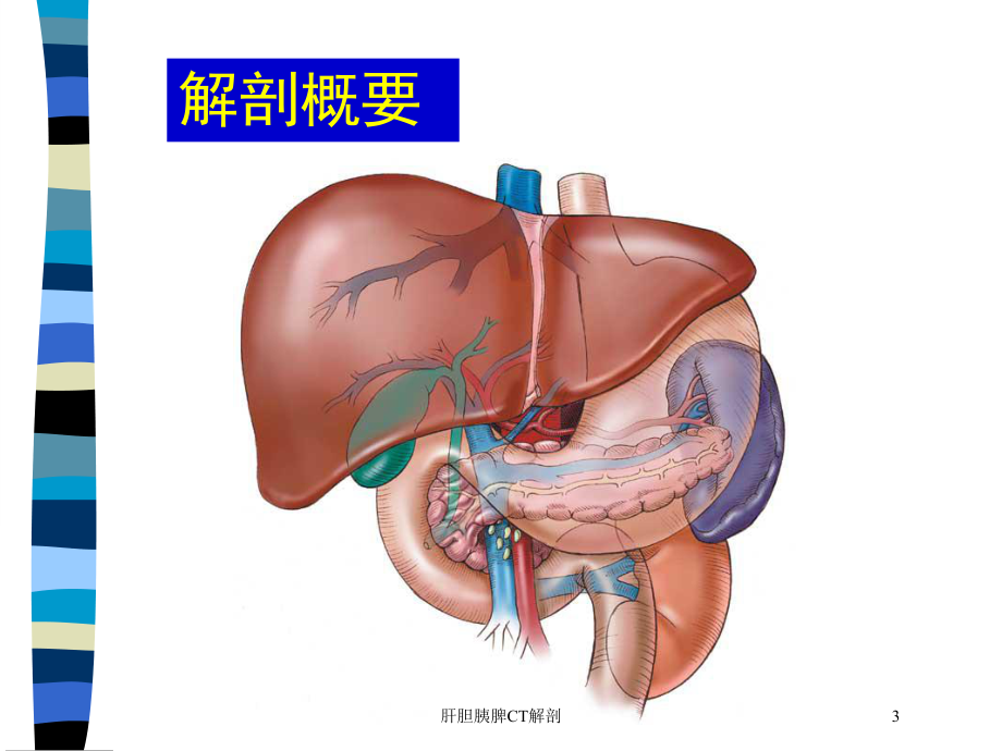 肝胆胰脾CT解剖培训课件.ppt_第3页