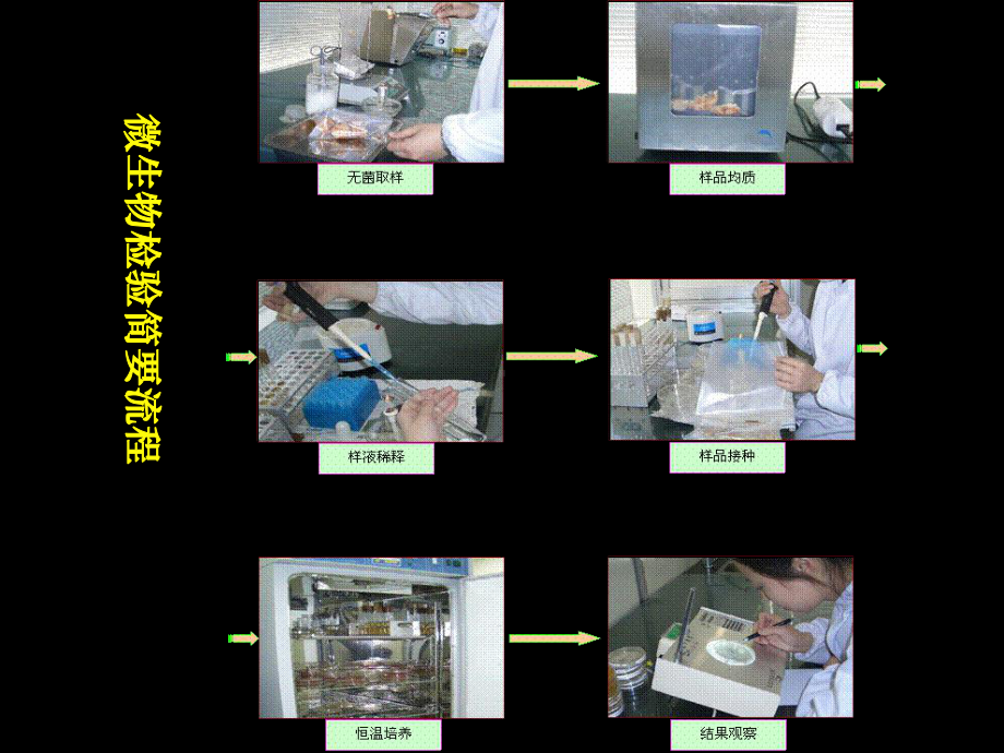 KJ01微生物检验技术-3-基本程序课件.ppt_第2页