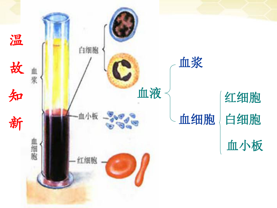 44-输血与血型综述课件.ppt_第1页