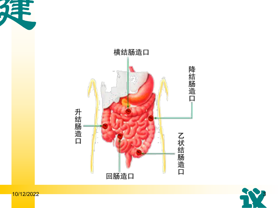 直肠癌围手术期护理课件.ppt_第3页