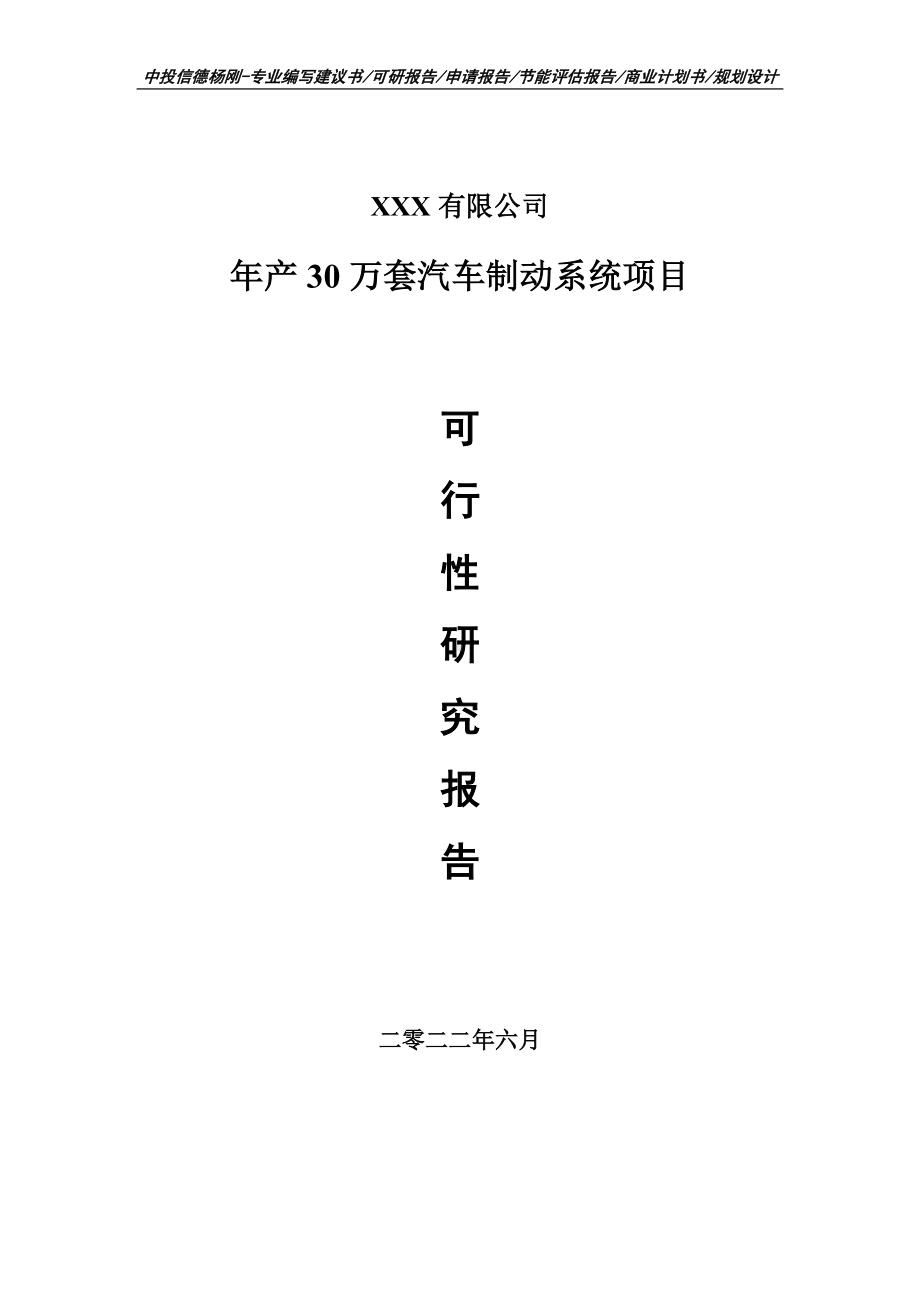 年产30万套汽车制动系统可行性研究报告申请建议书.doc_第1页