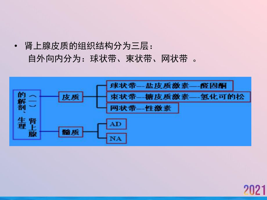 皮质激素类药物药物课件.ppt_第3页