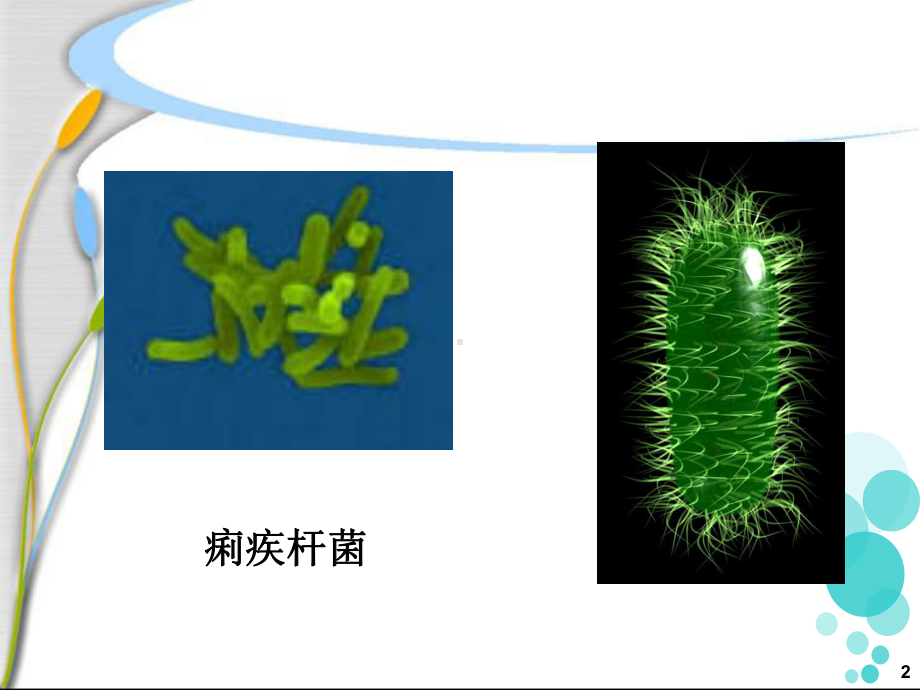 细菌性痢疾患者的护理课件.pptx_第2页