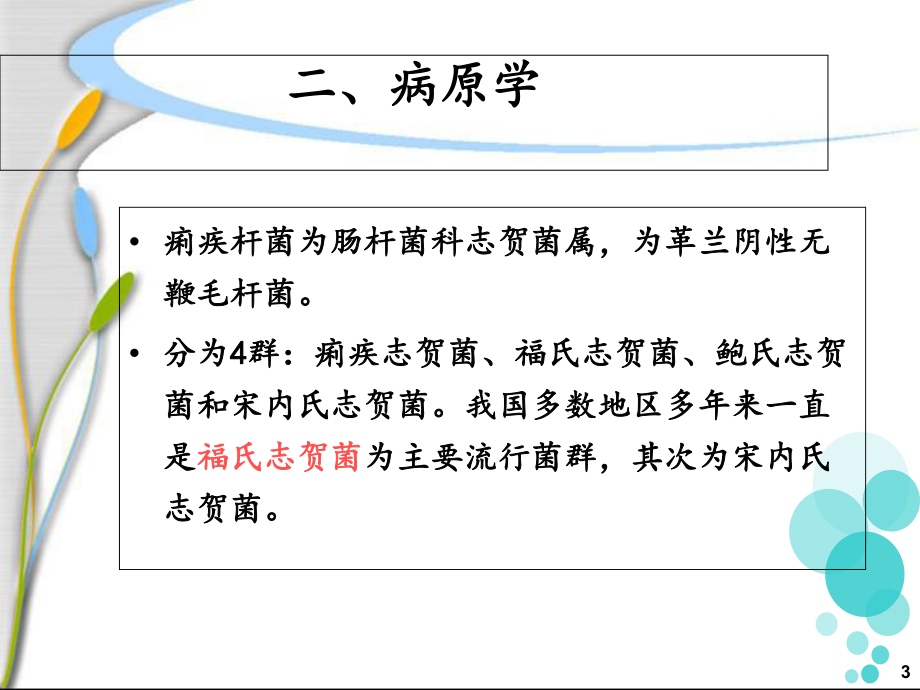 细菌性痢疾患者的护理课件.pptx_第3页