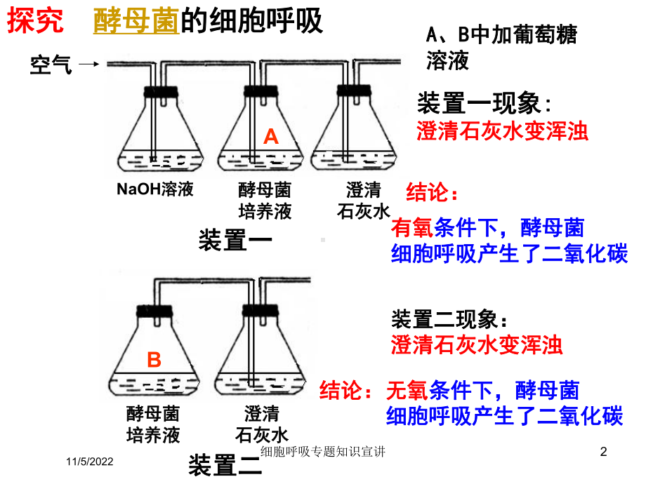 细胞呼吸专题知识宣讲培训课件.ppt_第2页