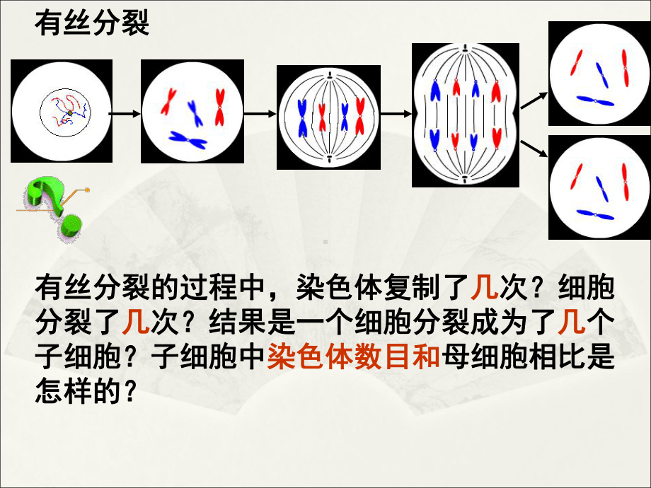 (新教材)减数分裂和受精作用课件人教版2.ppt_第2页