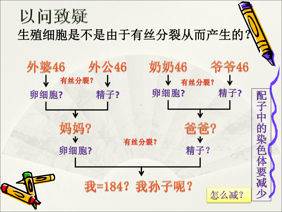 (新教材)减数分裂和受精作用课件人教版2.ppt_第3页