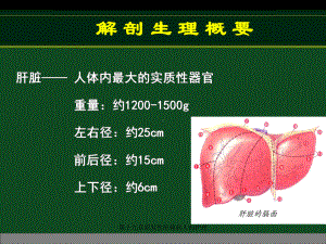 第十九章原发性肝癌病人的护理课件.ppt