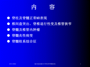 磁共振成像诊疗脊柱和脊髓疾病培训课件.ppt