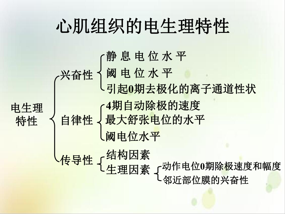 第二十二章抗心律失常药物第八药理学1课件.ppt_第3页