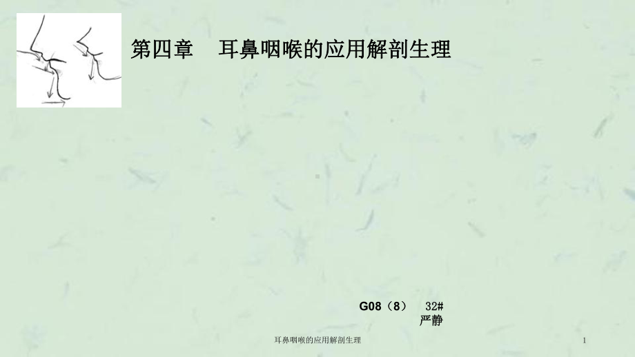 耳鼻咽喉的应用解剖生理课件.ppt_第1页